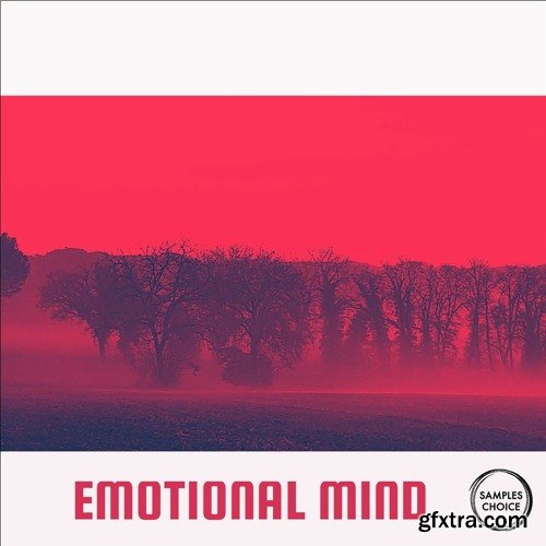 Samples Choice Emotional Mind