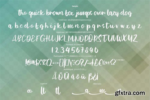 Festica Modern Script Font