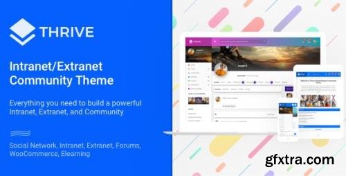 ThemeForest - Thrive v3.1.11 - Intranet & Community WordPress Theme - 12275020