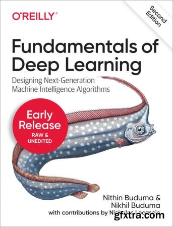 Fundamentals of Deep Learning, 2nd Edition