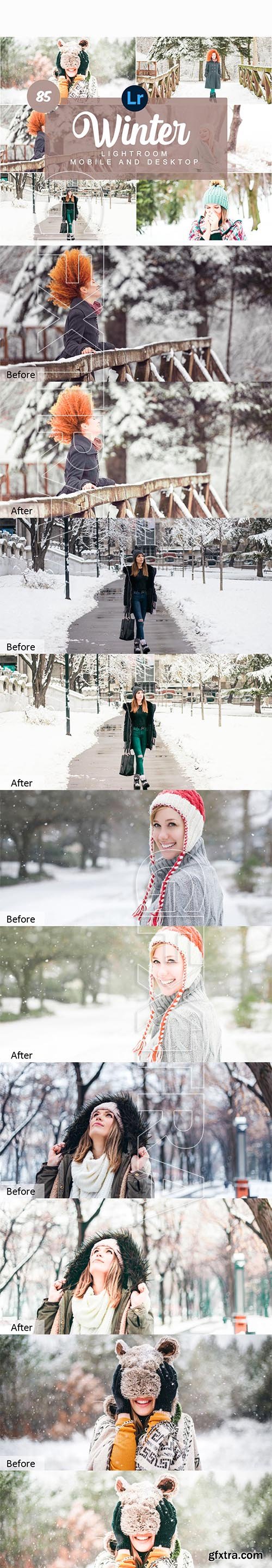 CreativeMarket - Winter Mobile and Desktop PRESETS 5736480