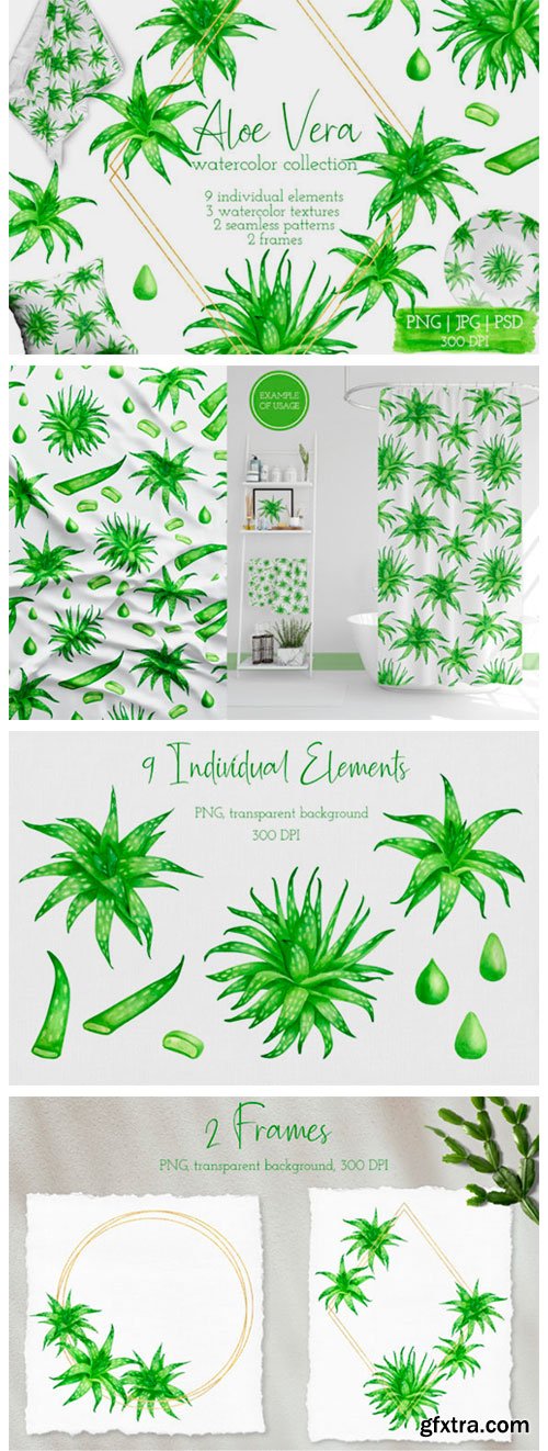 Aloe Vera Watercolor Succulent Clipart 8290762