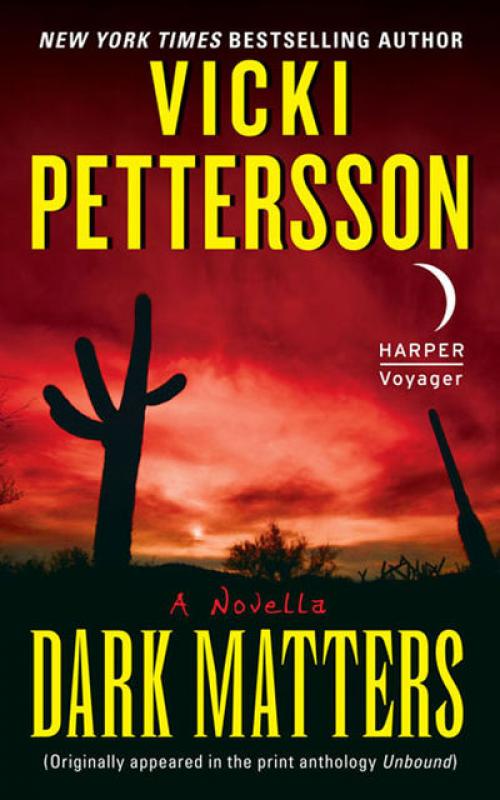 Dark Matters - Vicki Pettersson