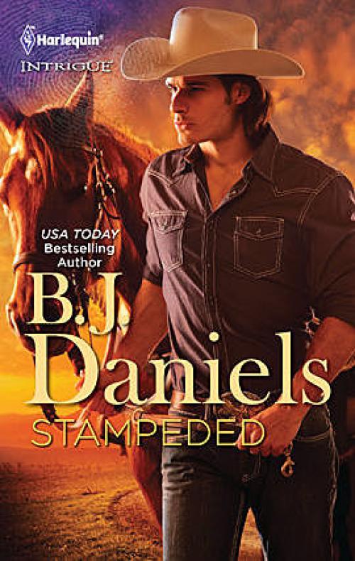 Stampeded - B.J.Daniels