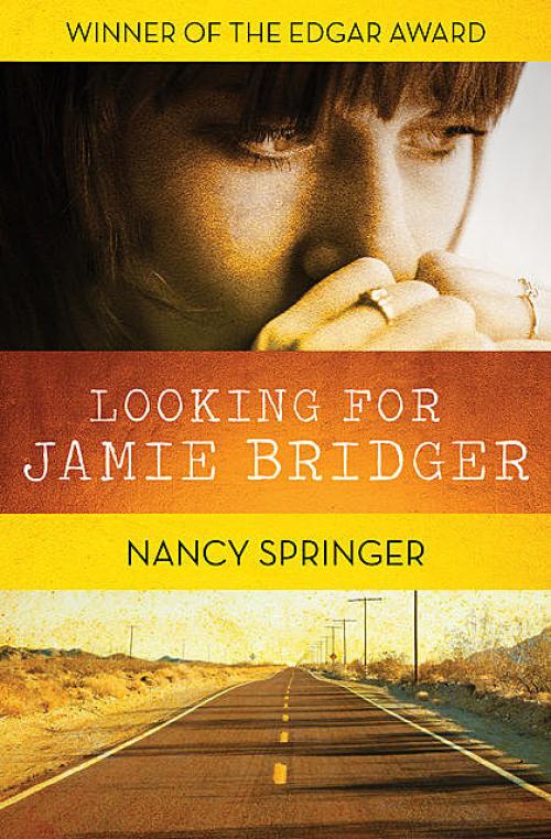 Looking for Jamie Bridger - Nancy Springer