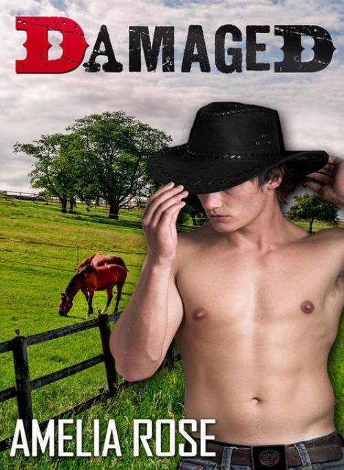 Damaged - Amelia Rose