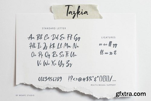 Tazkia - Handwritten Brush Font