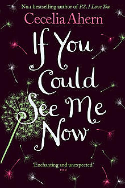 If You Could See Me Now - Cecelia Ahern