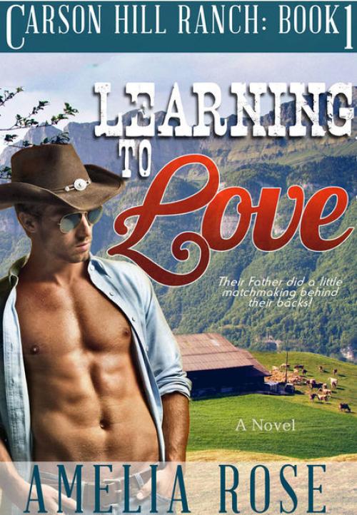 Learning To Love - Amelia Rose