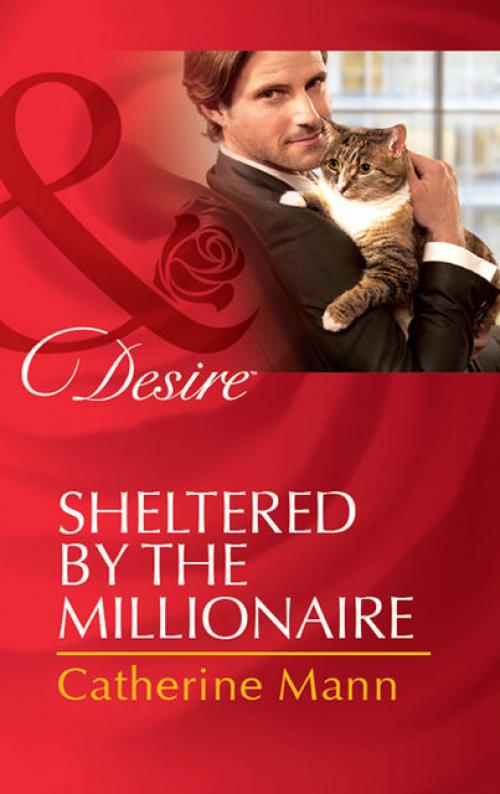 Sheltered by the Millionaire - Catherine Mann