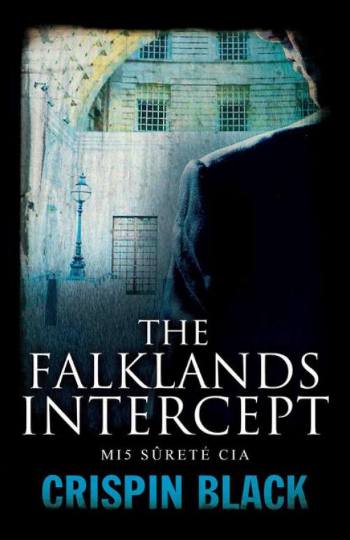 The Falklands Intercept - Crispin Black