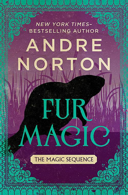 Fur Magic - Andre Norton