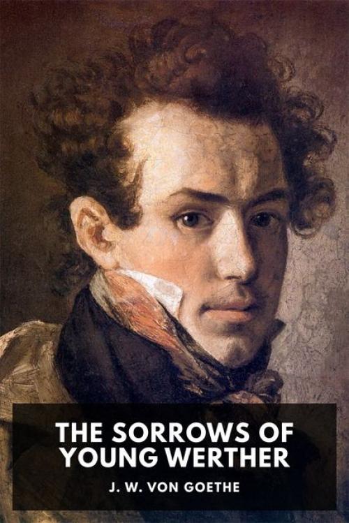 The Sorrows of Young Werther - Johan Wolfgang Von Goethe