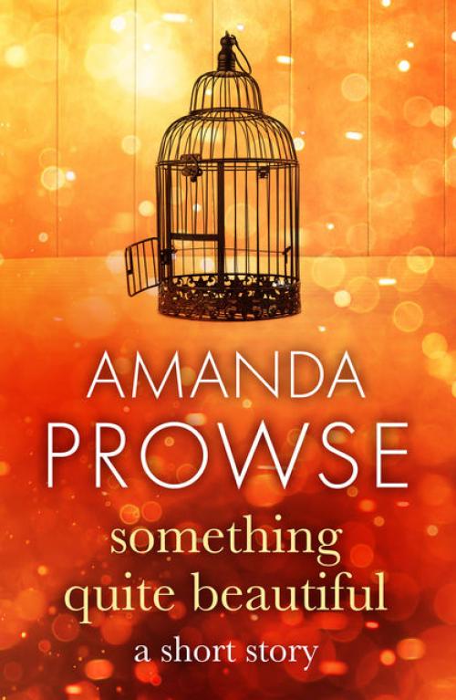 Something Quite Beautiful - Amanda Prowse