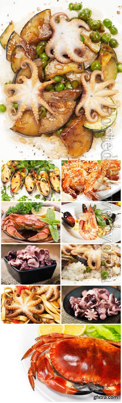 Seafood, delicious food stock photo