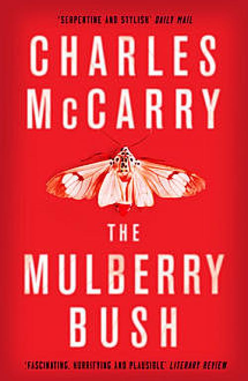 The Mulberry Bush - Charles McCarry