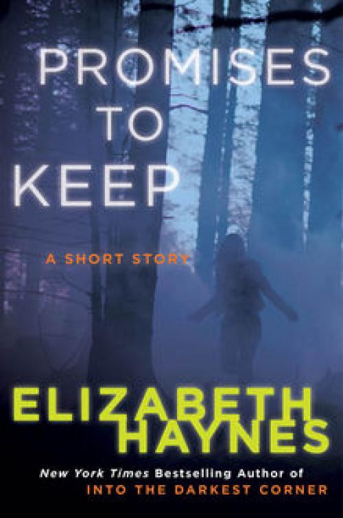 Promises to Keep - Elizabeth Haynes