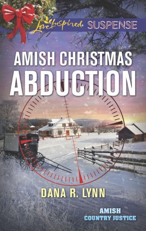 Amish Christmas Abduction - Dana R. Lynn