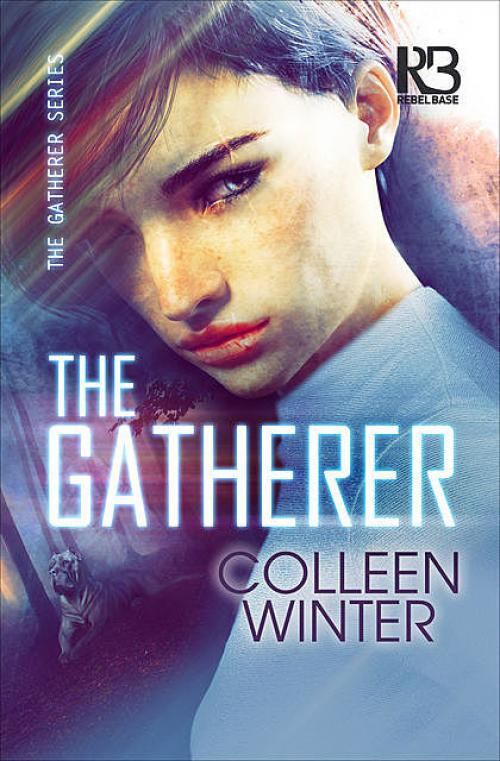 The Gatherer - Colleen Winter