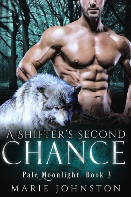 A Shifter's Second Chance - Marie Johnston