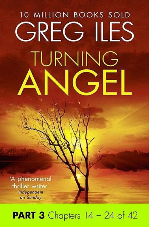 Turning Angel: Part 3, Chapters 14 to 24 - Greg Iles