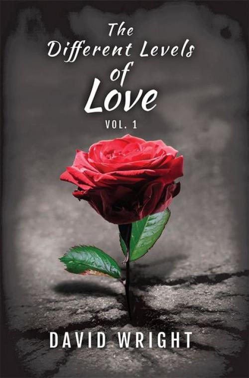 The Different Levels of Love, Volume 1 - David Wright