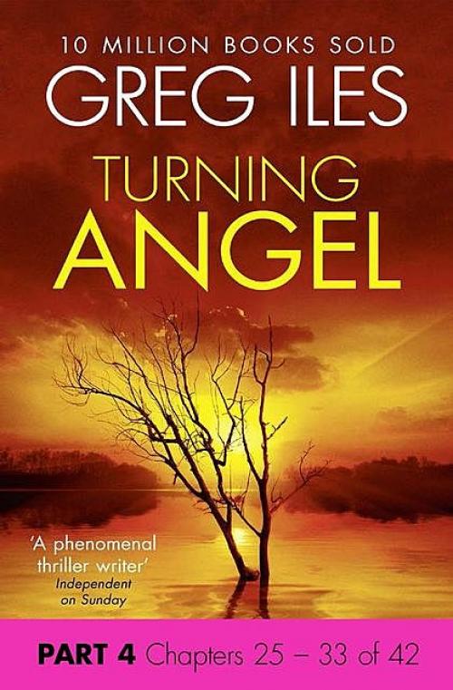 Turning Angel: Part 4, Chapters 25 to 33 - Greg Iles