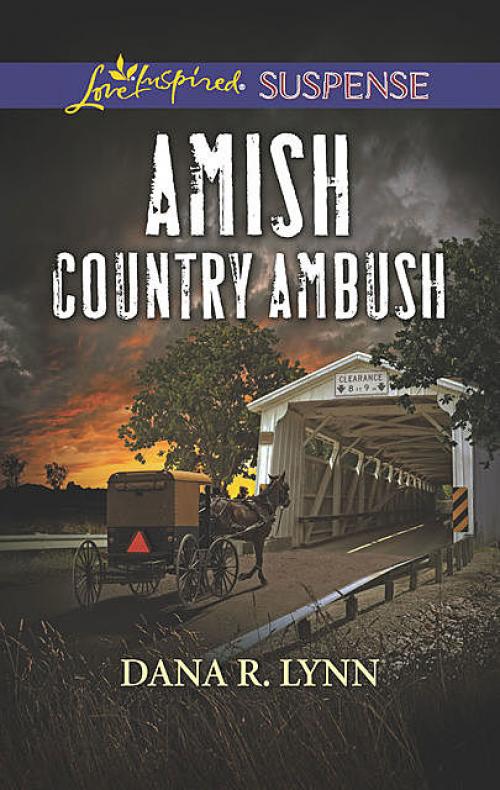 Amish Country Ambush - Dana R. Lynn