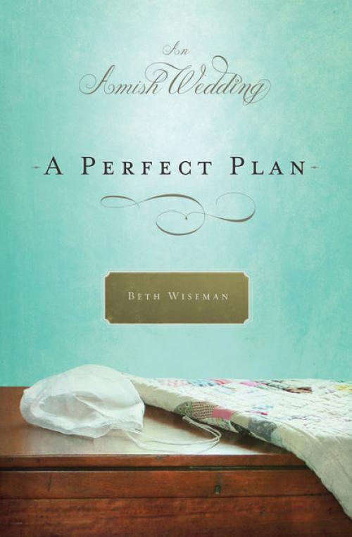 A Perfect Plan - Beth Wiseman