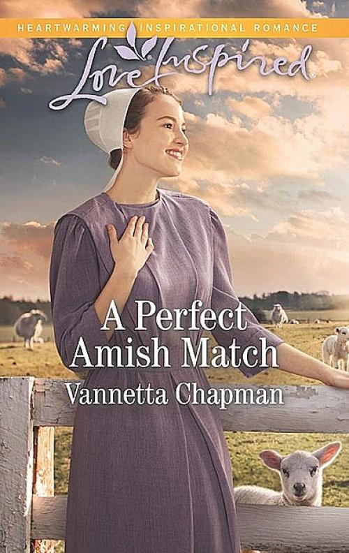 A Perfect Amish Match - Vannetta Chapman