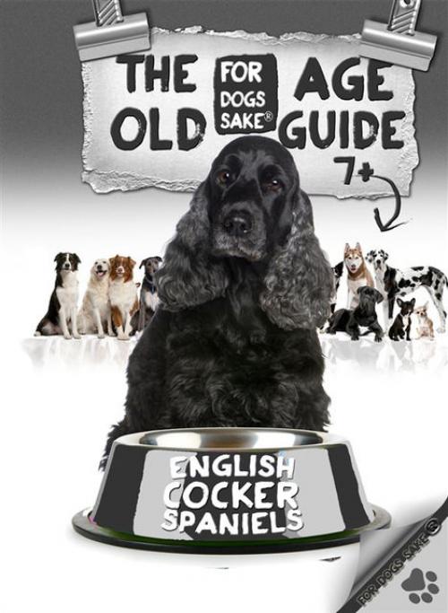 The English Cocker Spaniel Old Age Care Guide 7+ - David Wright