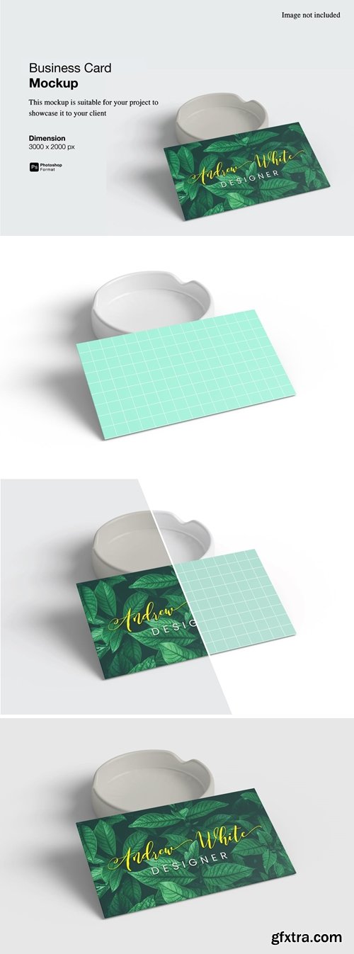 Business Card Mockup