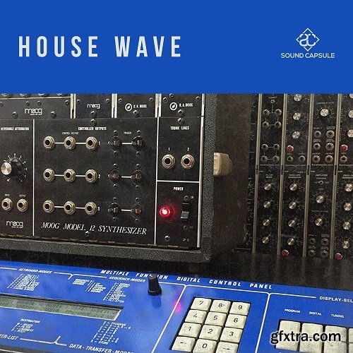 Sound Capsule House Wave