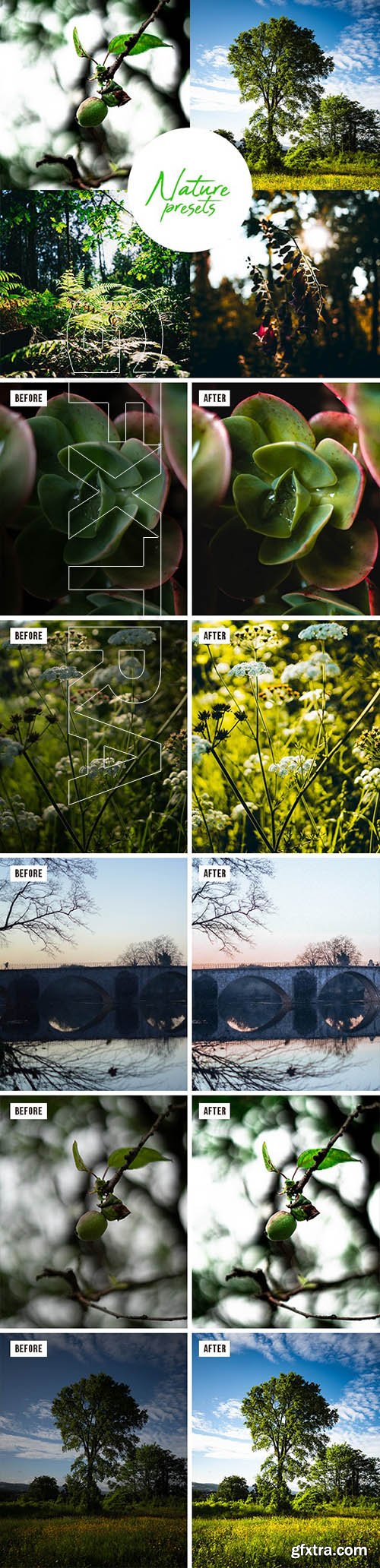 GraphicRiver - Professional Nature Lightroom Preset (Mobile & Desktop) 30177890