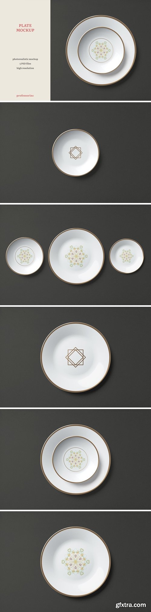 Plate Mockup