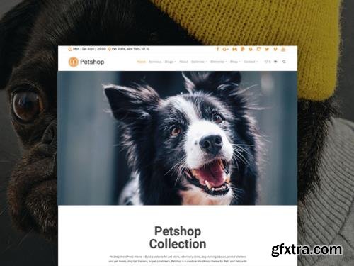 VisualModo - Petshop v3.2.6 - Petshop & Pet Services Website Builder