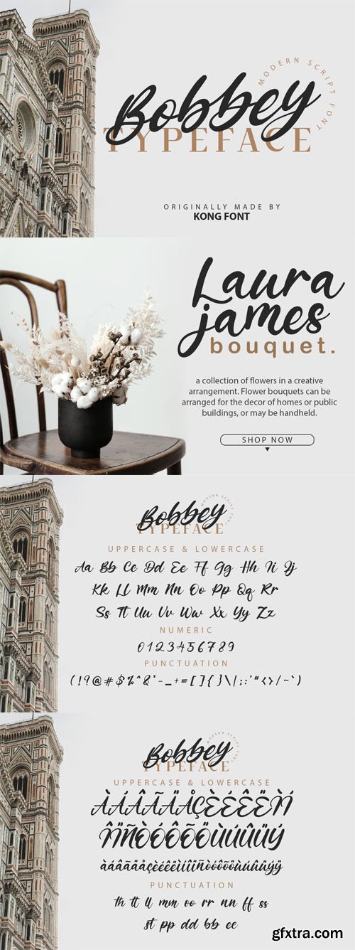 Bobbey Typeface - Modern Scipt Font [2-Weights]