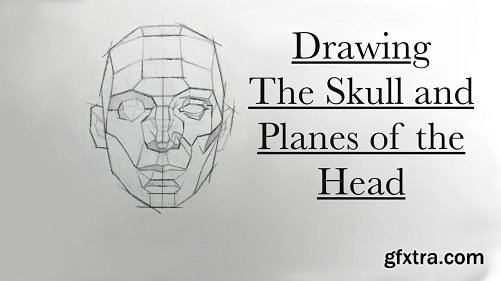 Drawing the Skull and Planes of the Head