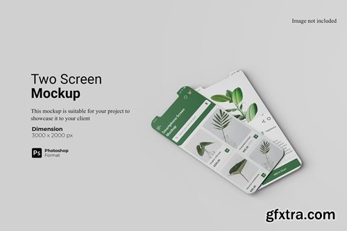 Two Screen Mockup