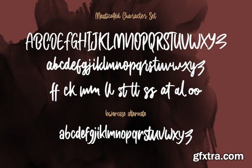 CM - Masticated Brush Script Font 5799213