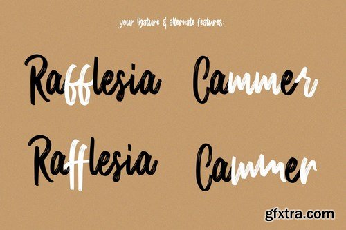 CM - Masticated Brush Script Font 5799213