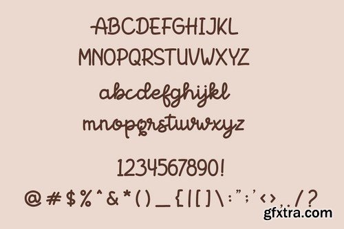 Boldins - Monoscript Font