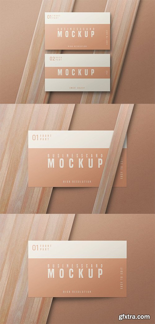 Business Card Mockup - Vol 08