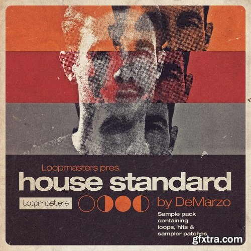 Loopmasters DeMarzo House Standard