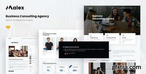 ThemeForest - Malex v1.1.0 - Business Consulting Agency Sketch Template - 28727802