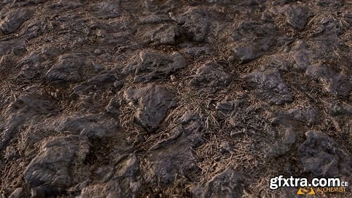 Stone Ground PBR Material