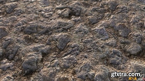 Stone Ground PBR Material