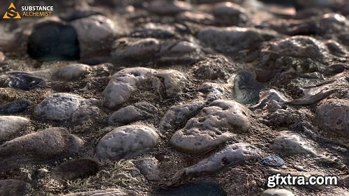 Round Stone Beach Ground - PBR Material