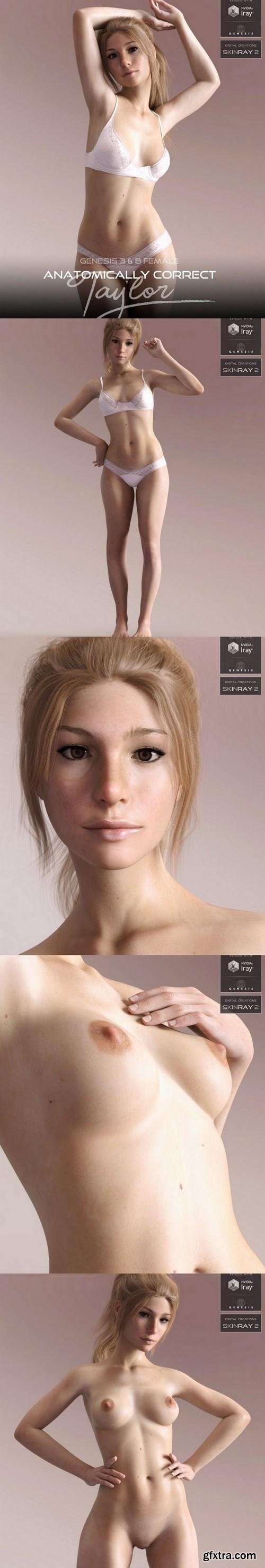 Anatomically Correct Taylor for Genesis 3 and Genesis 8 Female