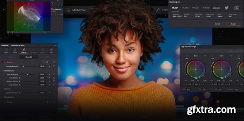 Blackmagic Design DaVinci Resolve Studio 17b8